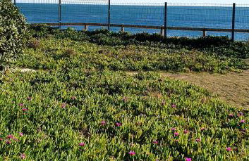 Cosy T2 refait à neuf climatisé, vue mer avec terrasse et jardin, Wifi piscine tennis et parking - Foto 28