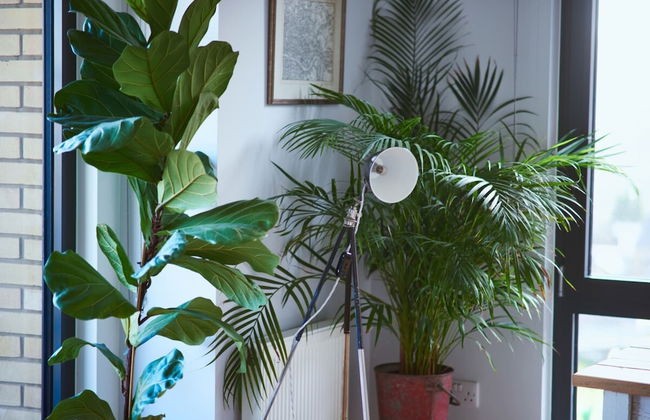 Beautiful 1 Bedroom With Balcony Near Mile End - Foto 18