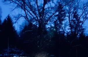 Tiny Ferienhaus 1 am Rimbach in Steinau an der Strasse - Foto 40