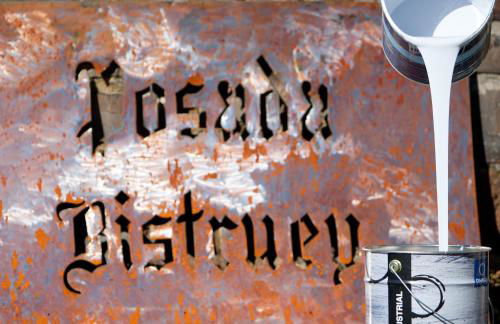 Posada Rural Bistruey - Foto 32