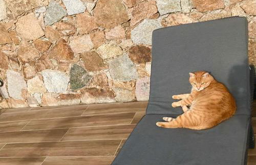 Gîte A Funtana Montestremo, Balagne, Haute Corse - Foto 64