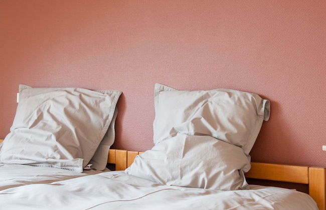 Holiday Home 't Regulierenhuisje - Foto 2