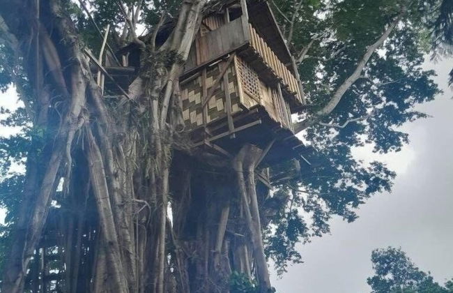 Glowing view tree house and Bangalow - Foto 30