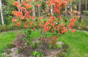 Villa Stare Osieczno - Foto 51