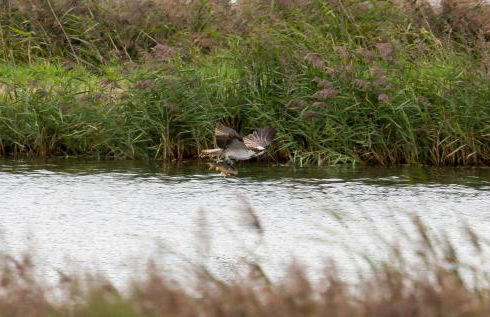 Ferienwohnung Maribell Jabel - Foto 18