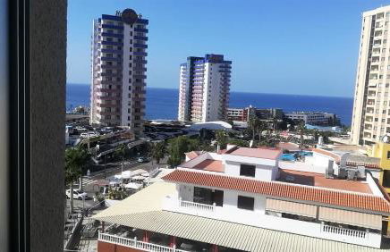 Sol Paraiso - Foto 4