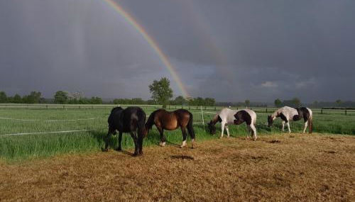 Ferienhof Wikner - Foto 5