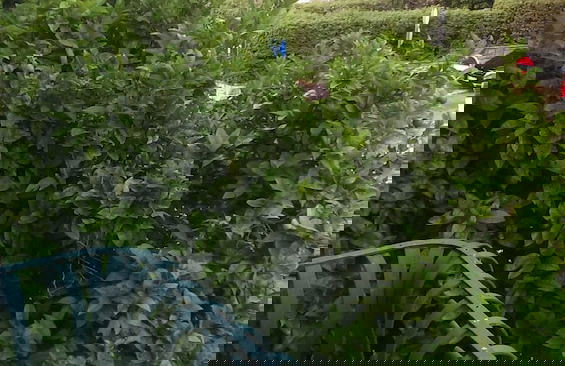 Apartment Marijo - Foto 6