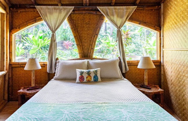 Hawaiian Dream Temple - Foto 2