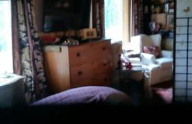 Sunflower Cottage on the River - Foto 24