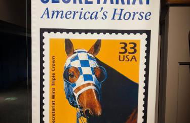 Opulence On Oak Street - Foto 18