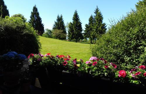 Komfortable Wohnungen und Studio in Sankt Englmar - Foto 32