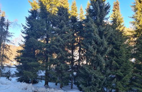 Haus Enere Au FeWo Antonia und FeWo Milan - Foto 18