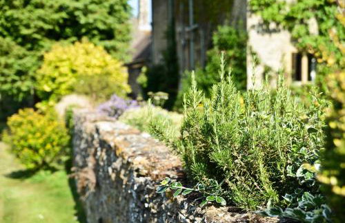 Charney Manor - Photo 42