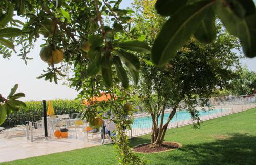 Agriturismo Bortolino - Foto 13