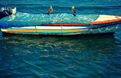 Lovely Estrela Vau Apt - Swimming pool view - Foto 24