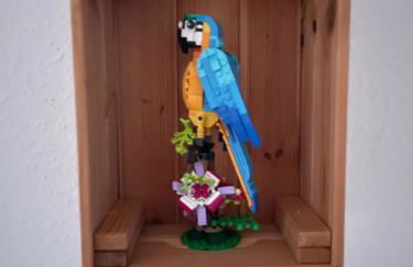 Gemütliche 2-Zimmer Wohnung 50qm - Foto 7