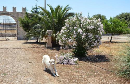 Villa Castiglione 1863 - The real Sicilian holiday - Foto 73