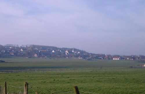 Willekes Blütenhof - Foto 17