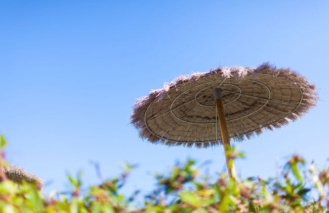 Camelina Suites - Foto 50