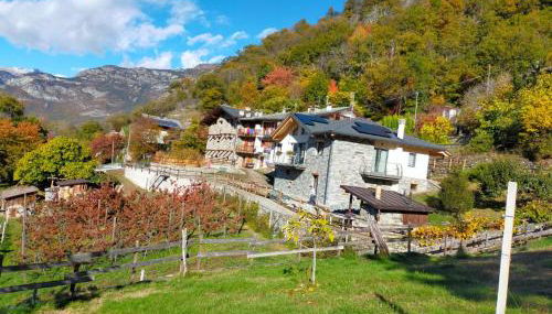 Le Sapin des Vuillermin CIR0080 - Photo 1