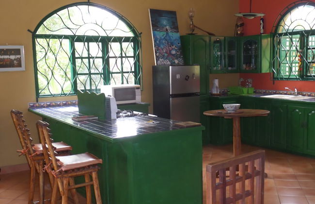 Sundown Villa -Negril - Photo 20