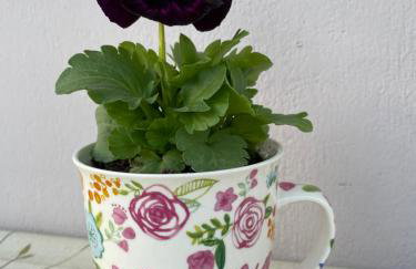 Sofias Cottage Trikala - Photo 55