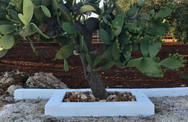 Villa Lara - mit separatem extra Zimmer mit Wc und Dusche - Foto 15