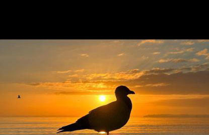 Ankerplatz Maria (Zuhause an der Ostsee) - Foto 74