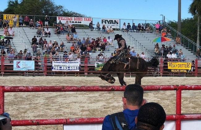 Lovely Wonderlux House 5BR by FL Keys MIA Marina - Foto 25