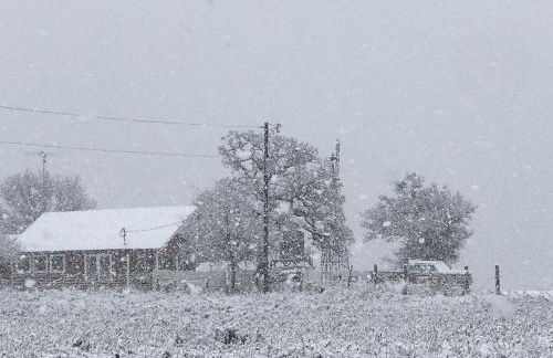 Spacious Cottage Rental for Group Getaway on Ranch near Dallas, Texas - Foto 39