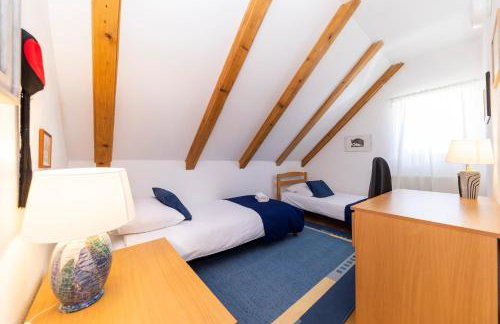 SPA HOLIDAY HOUSE REŽEK - Lovinac - Foto 42