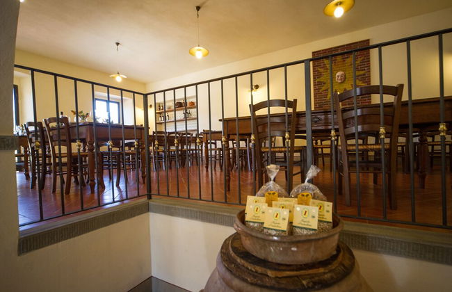 azienda agricola lo zolfino - Foto 52