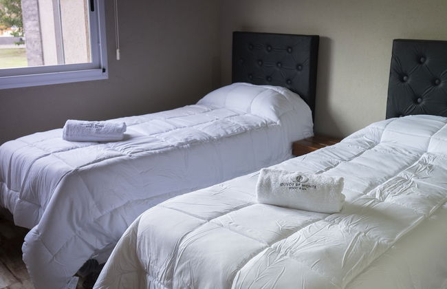 Olivos de Monte - Foto 4