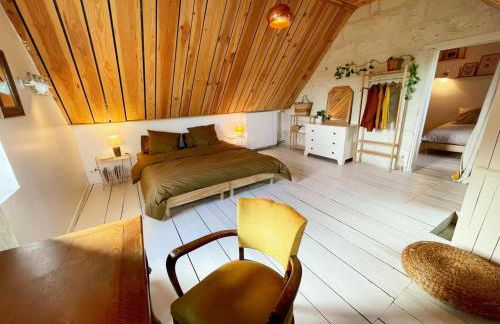 Gîte XIXè de charme à Candes-St-Martin avec jardin clos - FR-1-381-612 - Foto 3