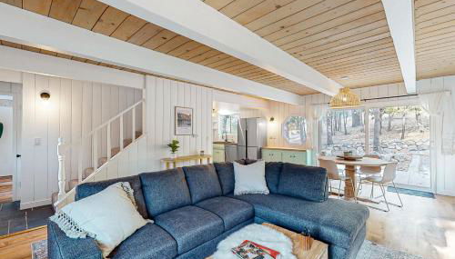 Saint Bernard Beauty - Foto 3