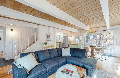 Saint Bernard Beauty - Foto 3