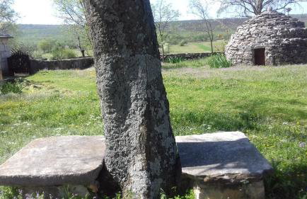 Family friendly holiday home "Ana" with heated pool - Foto 16