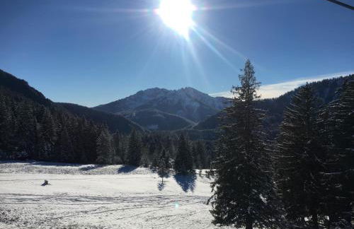 Ferientraum Kobellstrasse - Foto 17