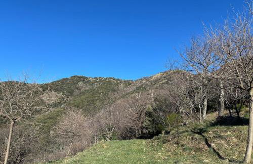 Le Châtaignier - Foto 19