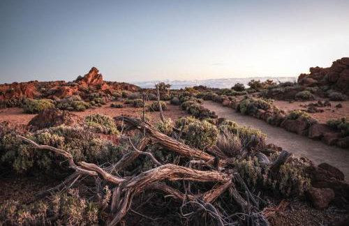 casa mo Tenerife - Foto 28
