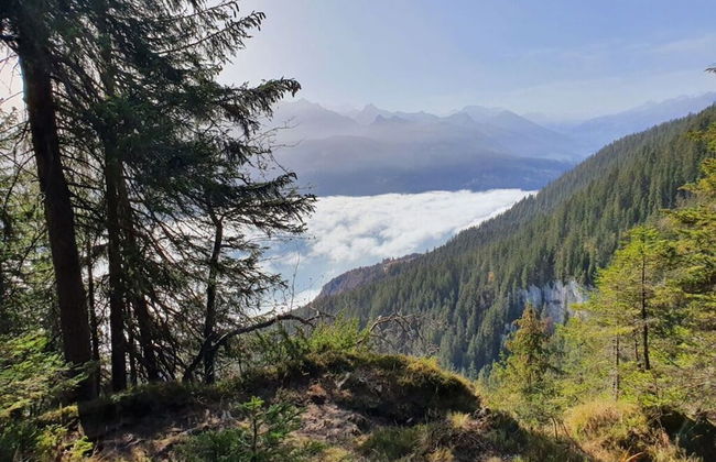 Apartment Chalet Beatrice Share - Foto 14