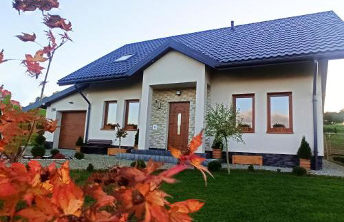 Willa Maja Bieszczady noclegi Bieszczady - Foto 42