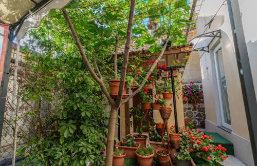 Casa Lady - Photo 18