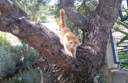 Harris elegant house superb view near airport - Foto 65