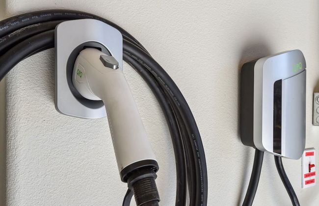 Mountain Bear Lodge - Foto 38