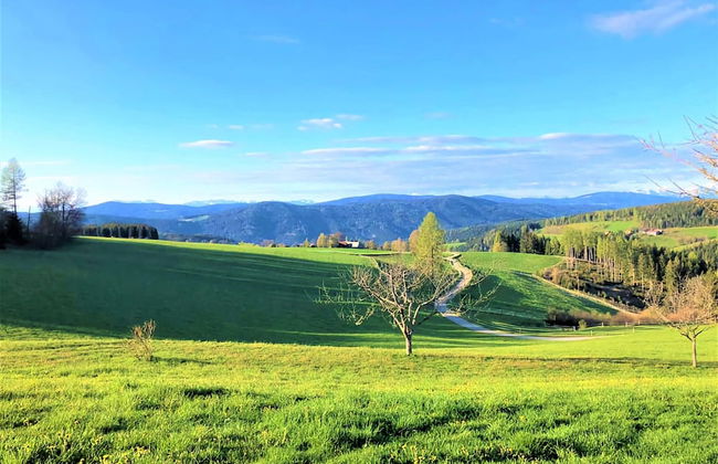 Tranquil Apartment in Polling With Terrace - Foto 24