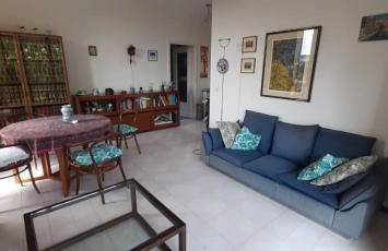 Wonderful apartment in the pine forest - Foto 1