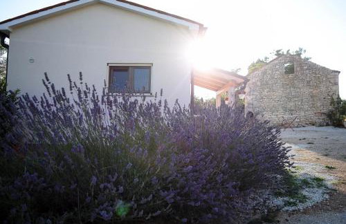 House Toni 1102 - Foto 35