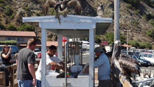 Avila Beach Retreat - Foto 2, Other